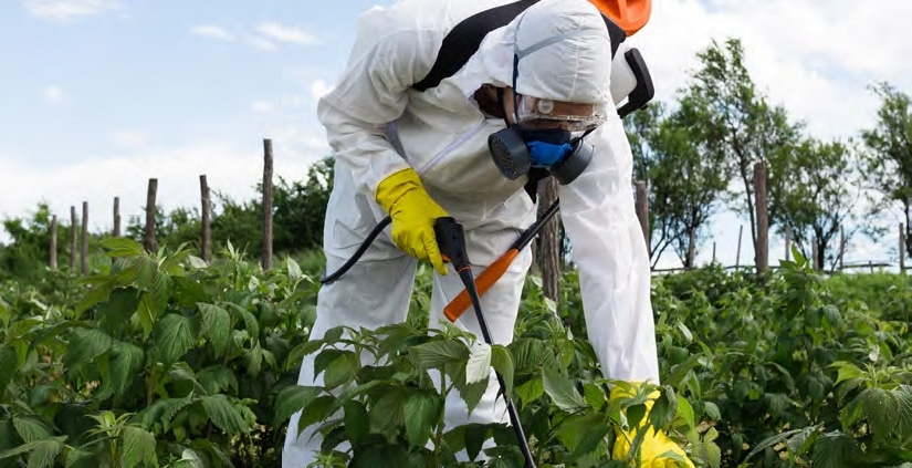 Personal Protective Equipment for Working With Pesticides